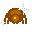 Big Golden Spider