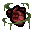 Afflicted By Disease