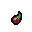 Poisonous Berry