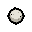 Immune Cell