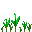 Growing Wheat III