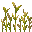 Growing Wheat VI