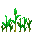 麦苗 IV