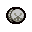 Sand Dollar