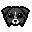 Dewey Decimal Dog