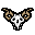Lamb Skull
