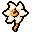Moon Flower